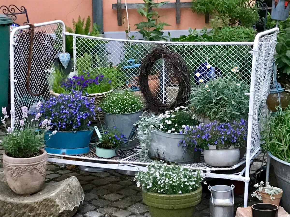 Ferienwohnung Alter Bauernhof Drezno Zewnętrze zdjęcie